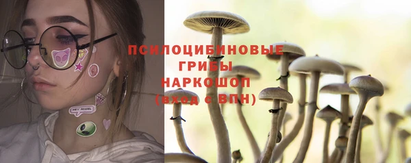 spice Алексин